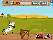 Giochi di Zebre - Racing Zebra